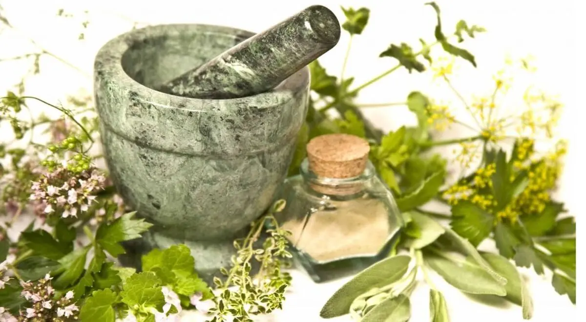 گیاه تشنه داری برای التیام زخم