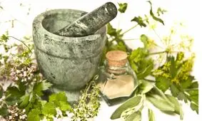 گیاه تشنه داری برای التیام زخم
