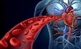 12 نشانه گردش خون ضعیف در بدنتان