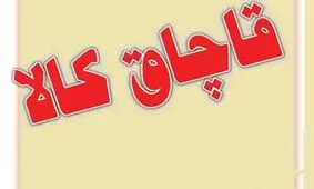 کشف محموله قاچاق ۳ میلیارد ریالی در بندرعباس