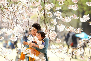قوانین جالب تربیت فرزند در ژاپن!