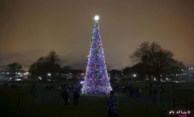 تصاویری از درخت کریسمس در سرتاسر جهان