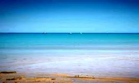 عجیب ترین موجود دریایی به ساحل استرالیا آمد + عکس