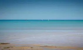 عجیب ترین موجود دریایی به ساحل استرالیا آمد + عکس