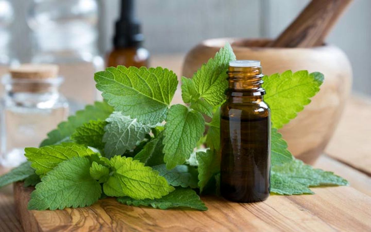 خواص بادرنجبویه؛ ۹ دلیل قانعکننده برای مصرف دمنوش بادرنجبویه