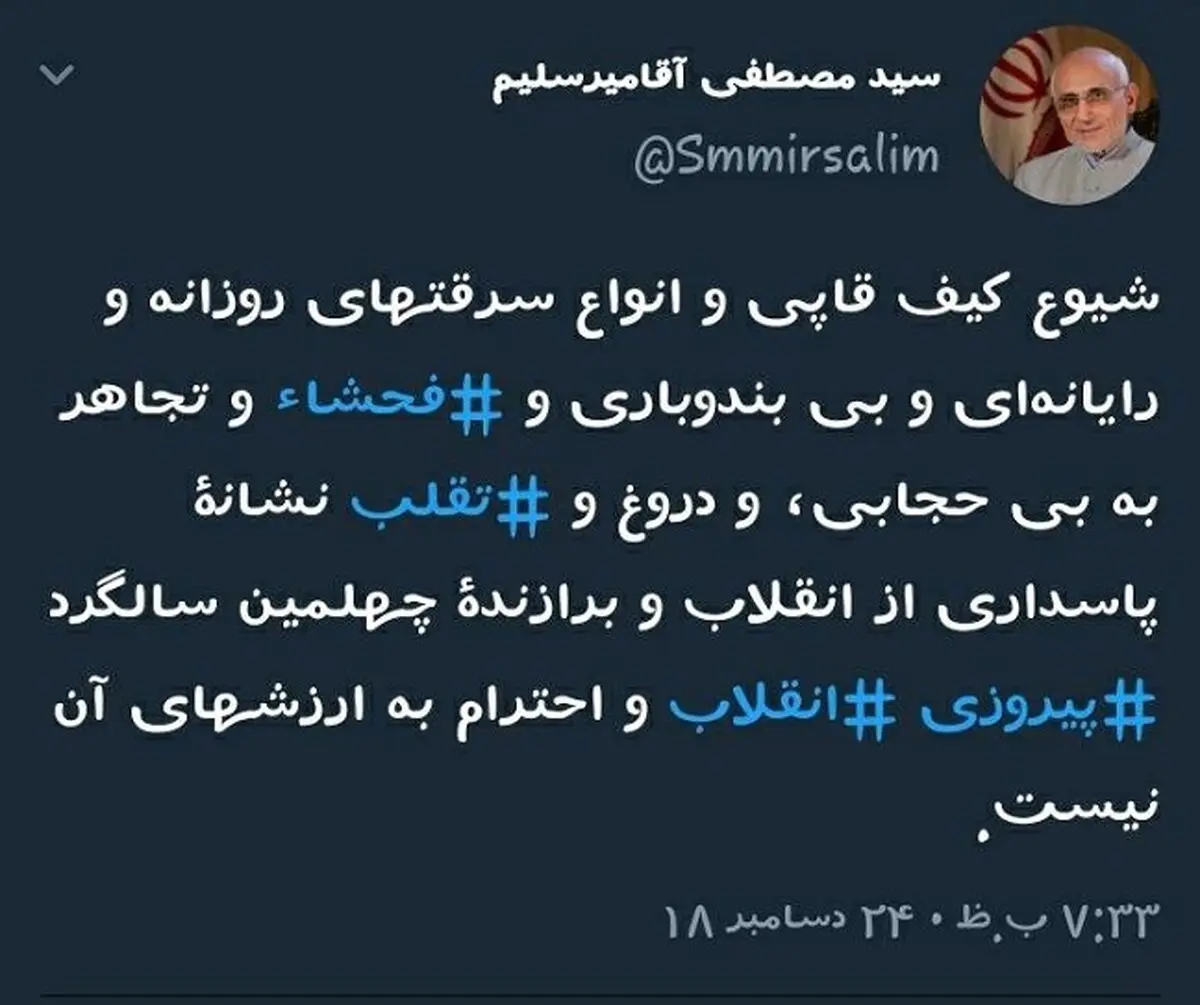 انتقاد میرسلیم از کیف قاپی، فحشا و بی حجابی + متن