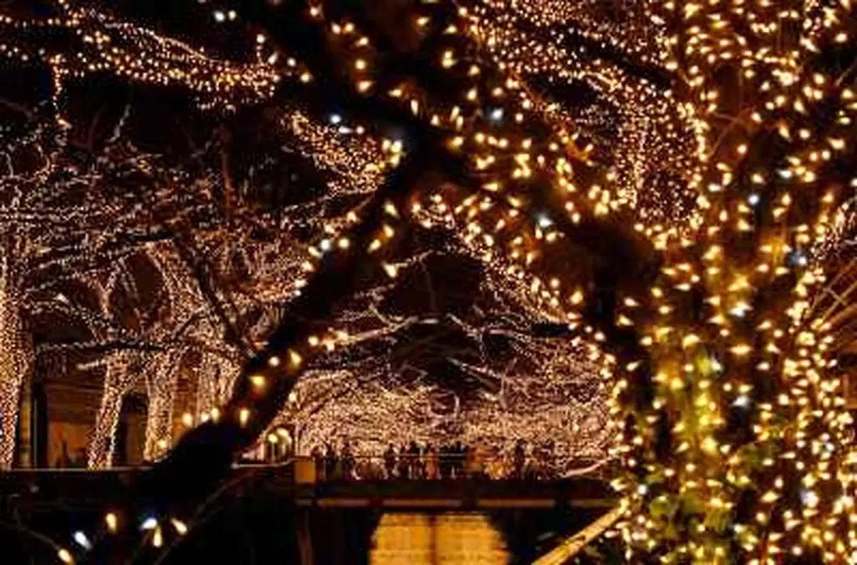 میلیون ها چراغ برای استقبال از کریسمس