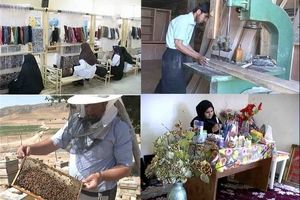 نیمی از طرح های اشتغال روستایی کمیته امداد اسدآباد در بانکها تسهیلات می گیرند