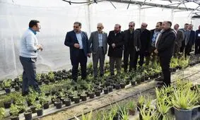 رونمایی ازشش طرح پژوهشی