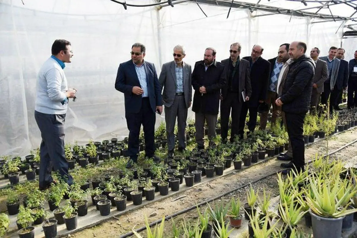 رونمایی ازشش طرح پژوهشی