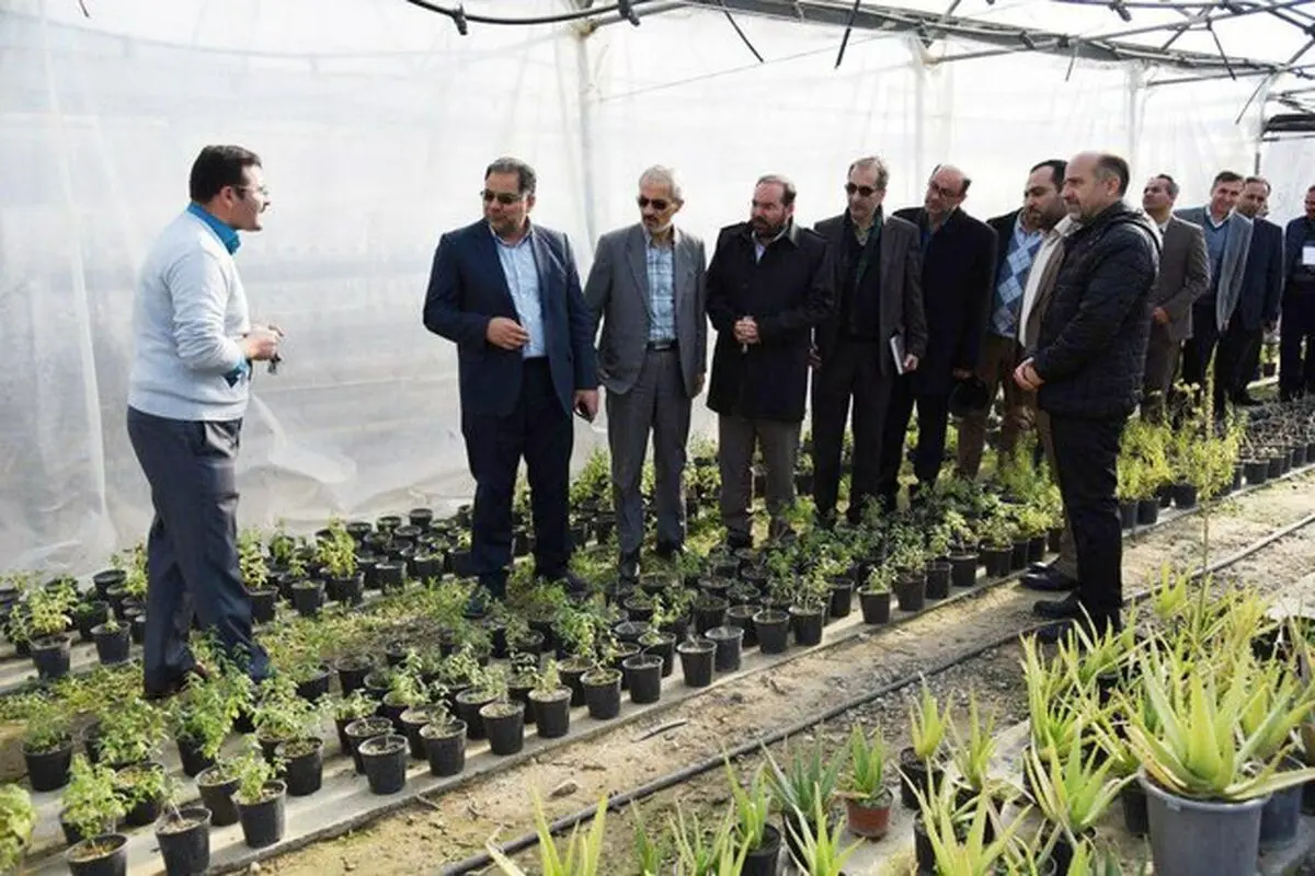 رونمایی ازشش طرح پژوهشی