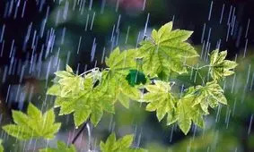 احتمال بارش برف و باران در خراسان جنوبی