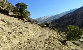 خسارت 3 میلیارد ریالی به ایلراه های عشایری