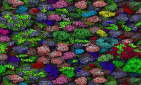 ساکنان بدنام، اما پرفایده بدن‎تان را بشناسید