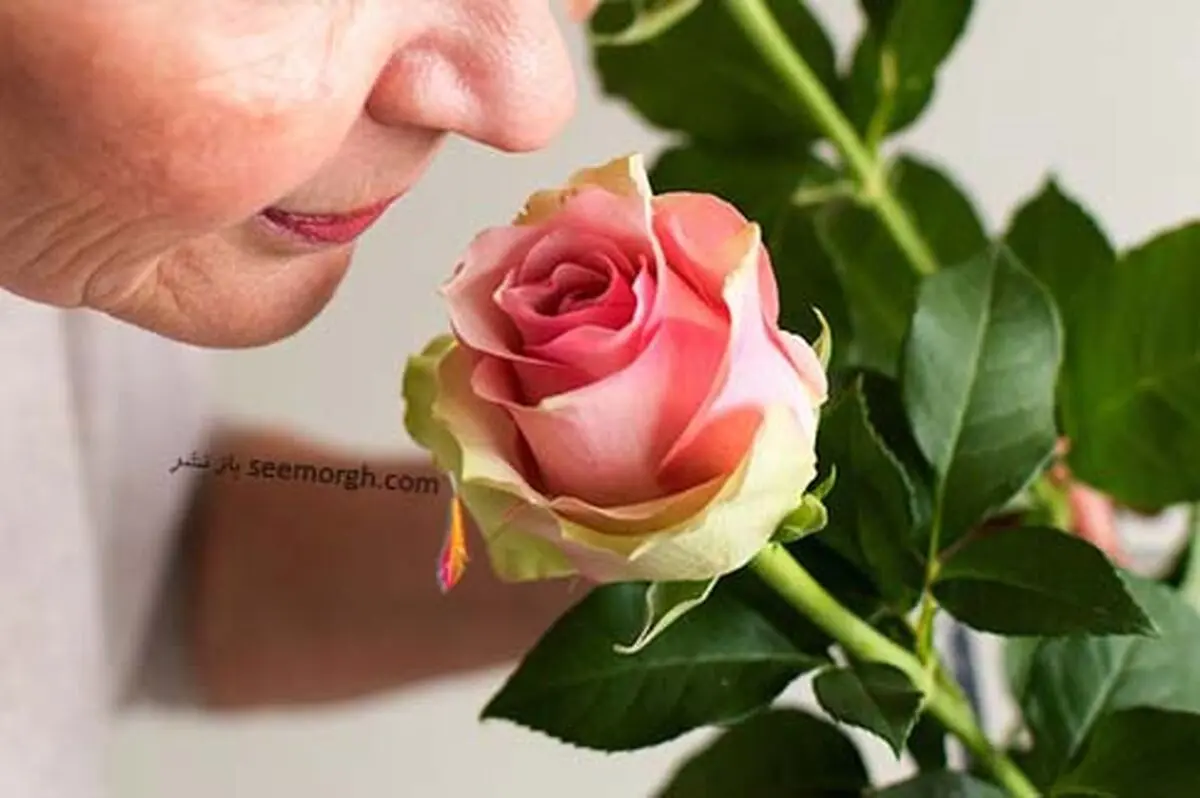 بینی در مورد سلامتی شما چه می گوید