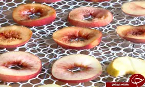 میوه خشک صنعتی گزینه ای مناسب سبد غذایی شهروندان/ توجه به صنعت میوه خشک نان چند صنف را تامین می کند