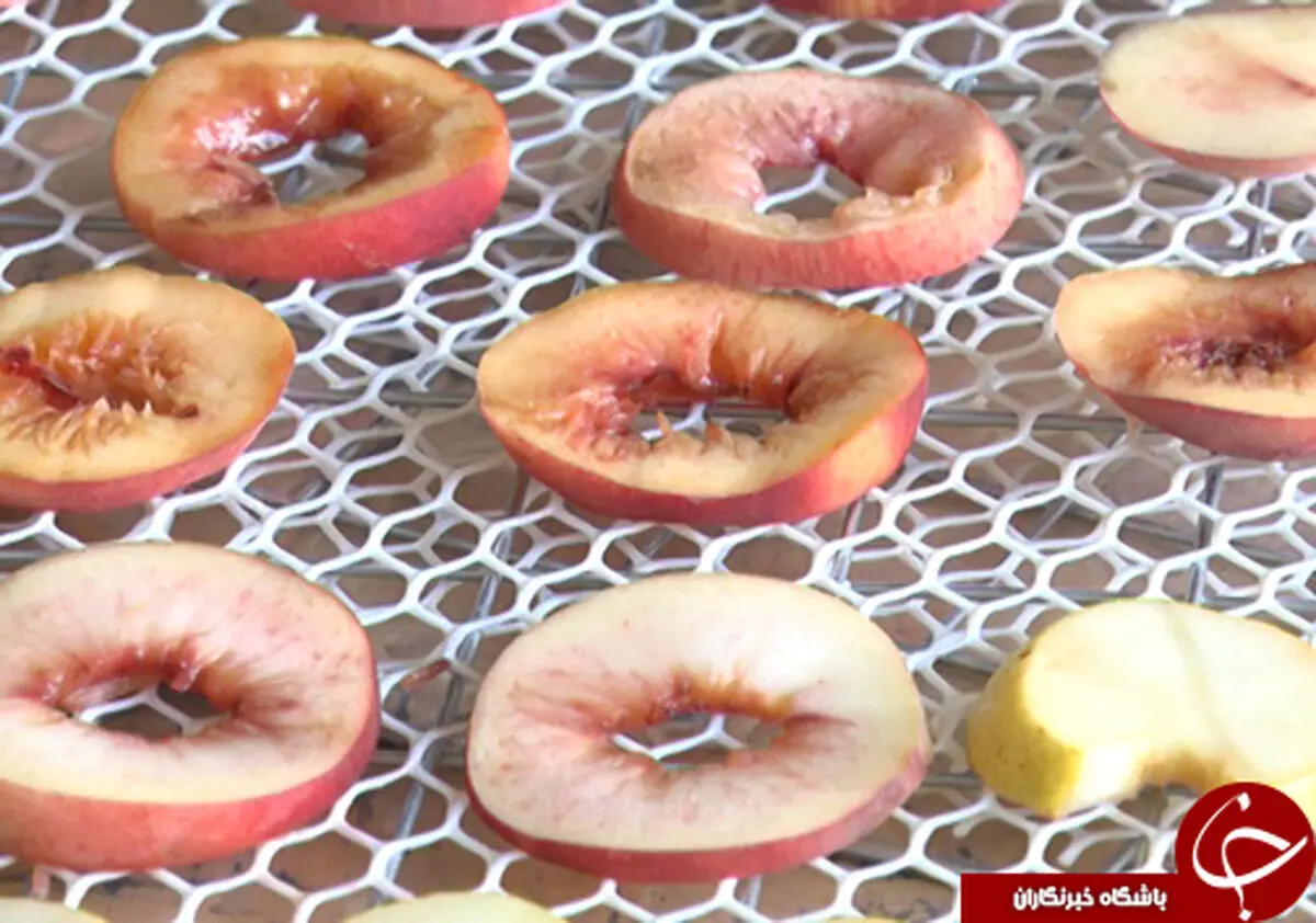 میوه خشک صنعتی گزینه ای مناسب سبد غذایی شهروندان/ توجه به صنعت میوه خشک نان چند صنف را تامین می کند