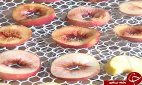 میوه خشک صنعتی گزینه ای مناسب سبد غذایی شهروندان/ توجه به صنعت میوه خشک نان چند صنف را تامین می کند