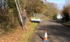 بی احتیاطی در قطع درخت حادثه دلخراشی را آفرید +فیلم