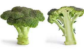 آیا می‌توان کلم بروکلی زرد شده را مصرف کرد؟