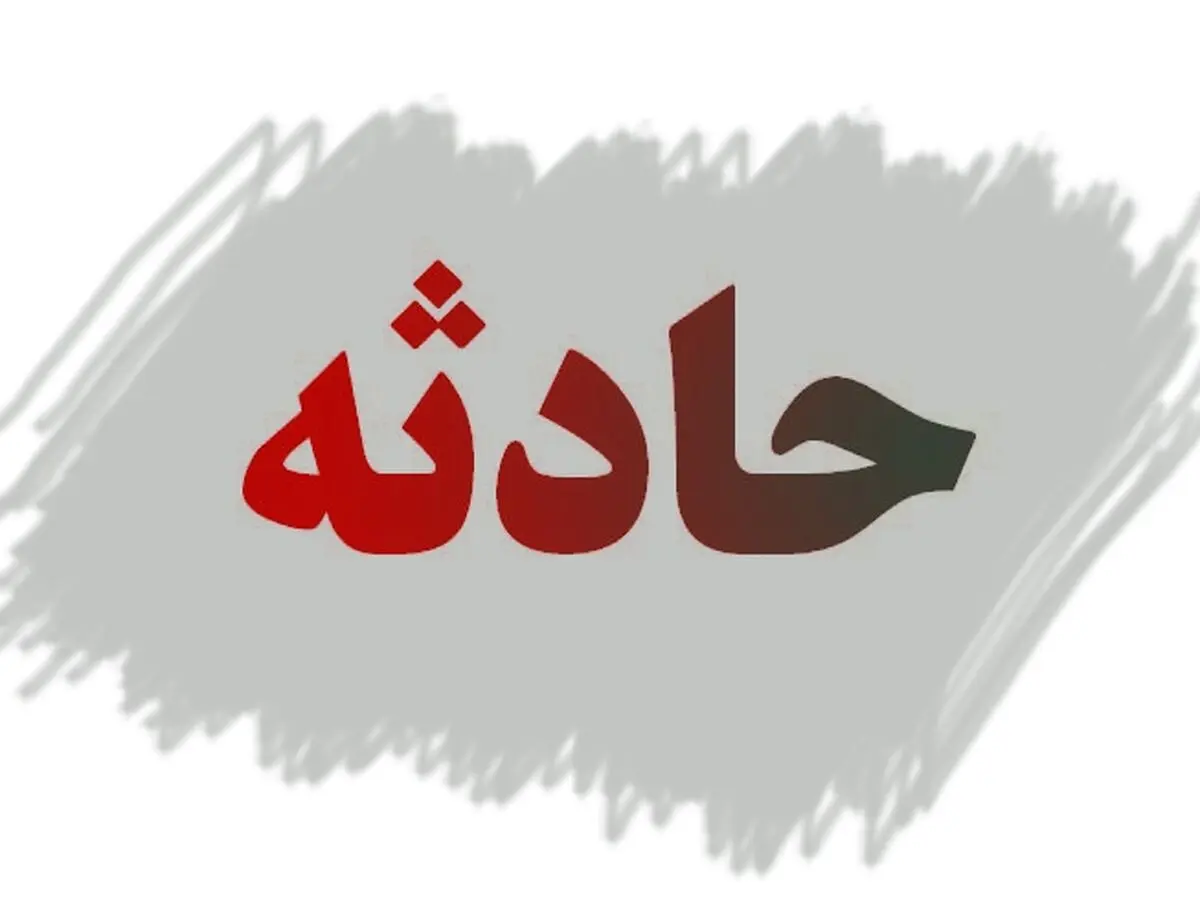 برق، جان سارق را گرفت