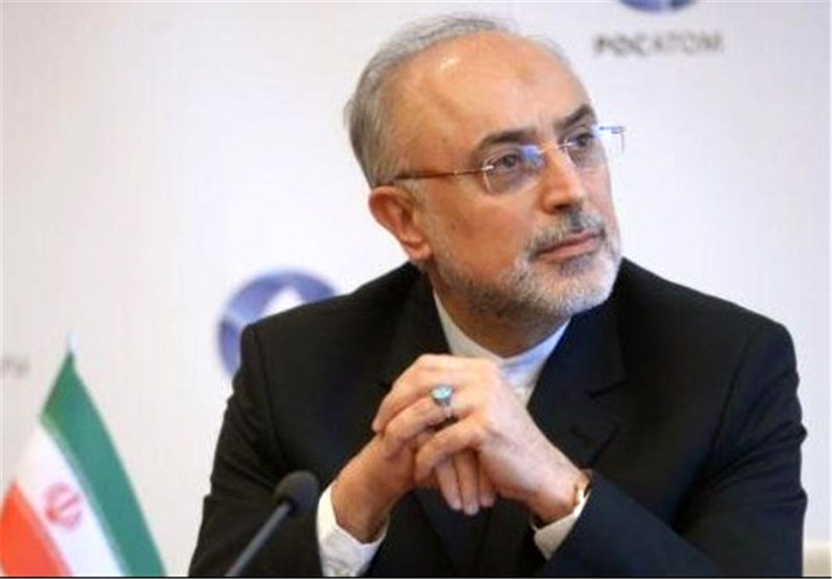 صالحی با آیتالله وحید خراسانی دیدار کرد