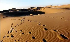 سفرهای خاطره انگیز در پاییز