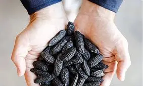 راهکار امام رضا (ع) برای تقویت عقل و مغز