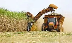  امنیت شغلی کارگران و افزایش تولید در شرکت میان آب نیازمند حمایت‌های مسئولین