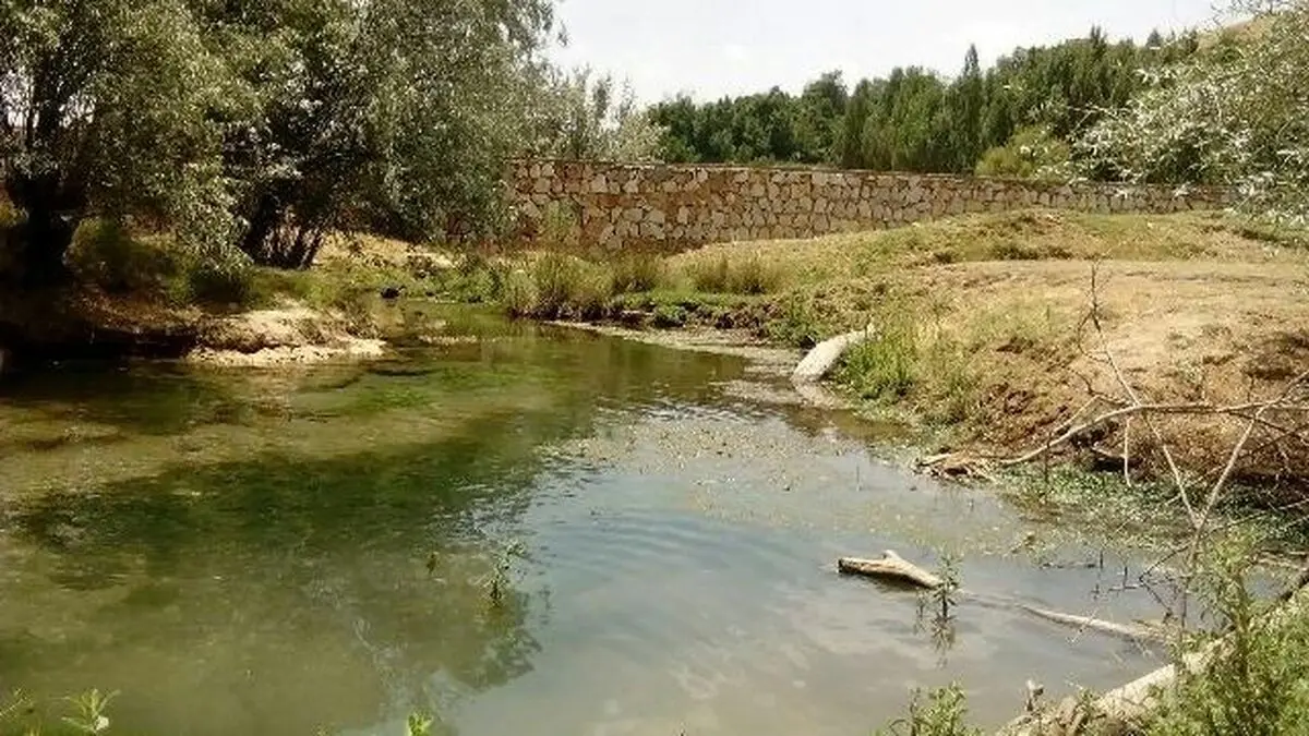 مرگ دردناک جوان بانه ای هنگام عبور از رودخانه
