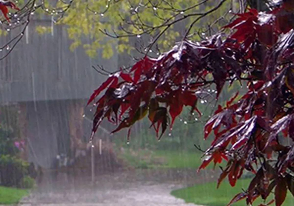 کاهش دمای ۱۲ تا ۱۴ درجه در گلستان