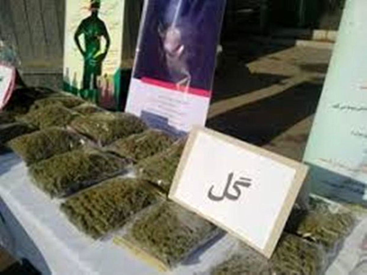 کشف گلهای مخدر در هرسین