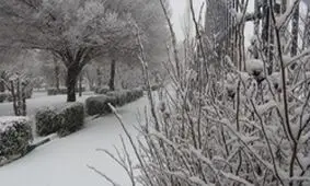 آسمان استان زنجان از امروزبرفی می شود