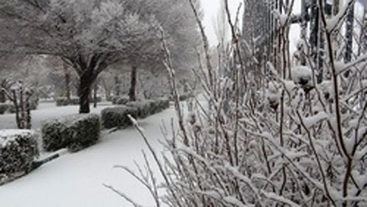 آسمان استان زنجان از امروزبرفی می شود