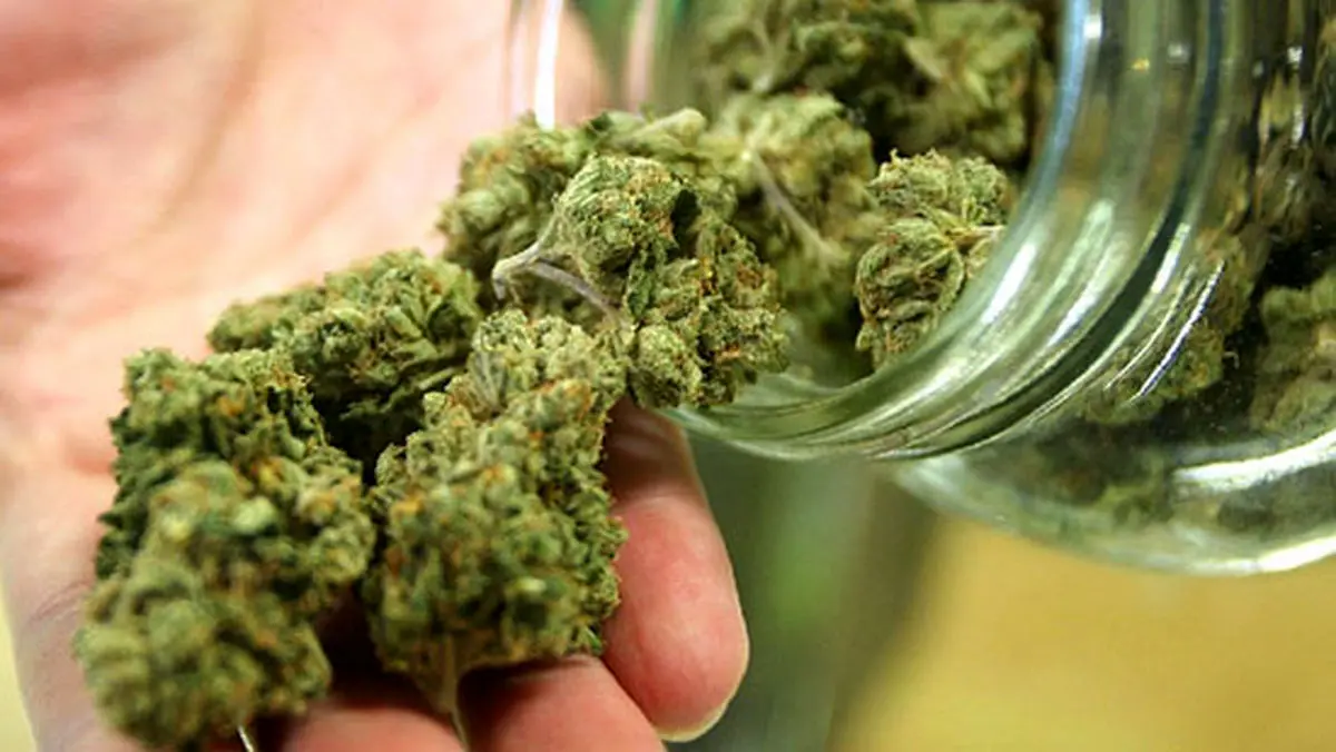 ماری‌جوانا یا گل؛ دومین ماده مخدر شایع در ایران