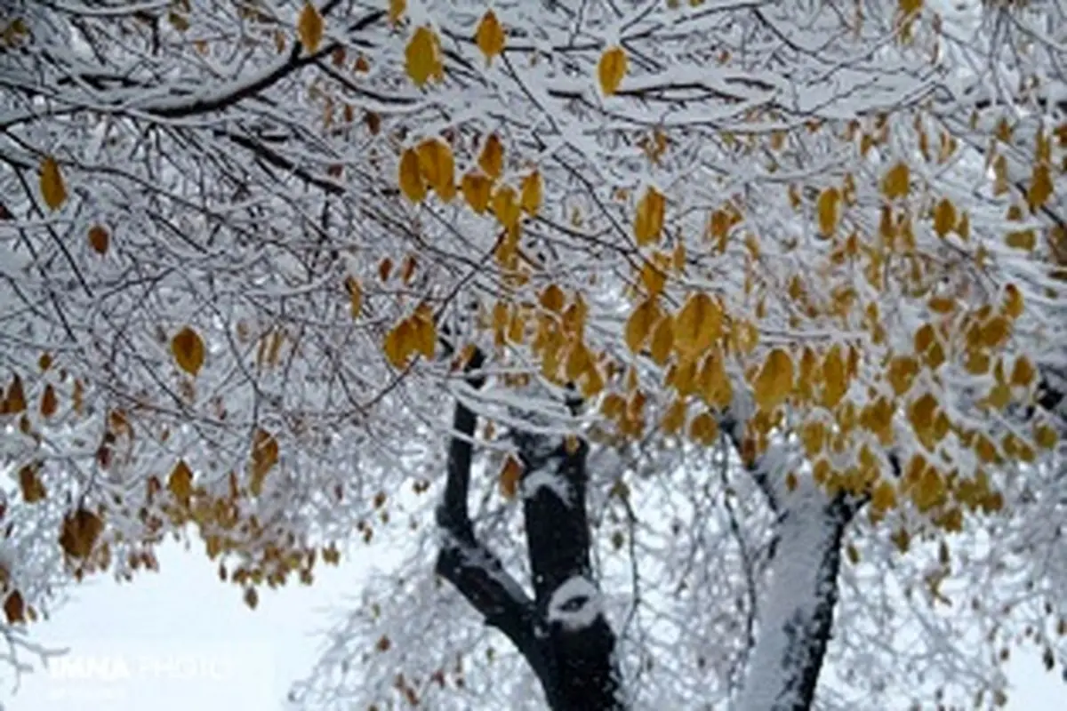 برف و باران در غرب و جنوب استان اصفهان