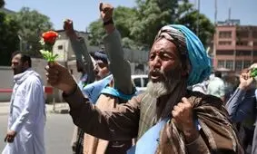طالبان از چه راهی پول در می‌آورند؟/طالبان چقدر ثروت دارند؟/تریاک، مالیات و اخاذی قسمتی از منابع مالی این گروه است