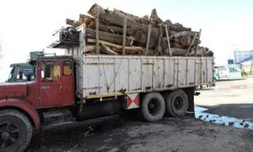 کشف 5 تن الوار جنگلی قاچاق در گرمی