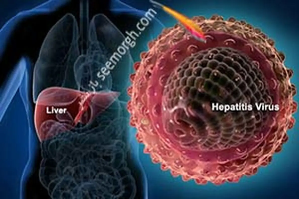 آشنایی با انواع هپاتیت A ، B و C و روش های انتقال آن ها