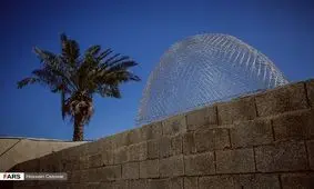 تصاویری از گرگور بافی در بوشهر