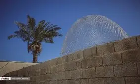 تصاویری از گرگور بافی در بوشهر