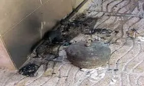 انفجار پیک نیک گاز ۵ نفر را راهی بیمارستان کرد