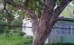 تست هوش بینایی