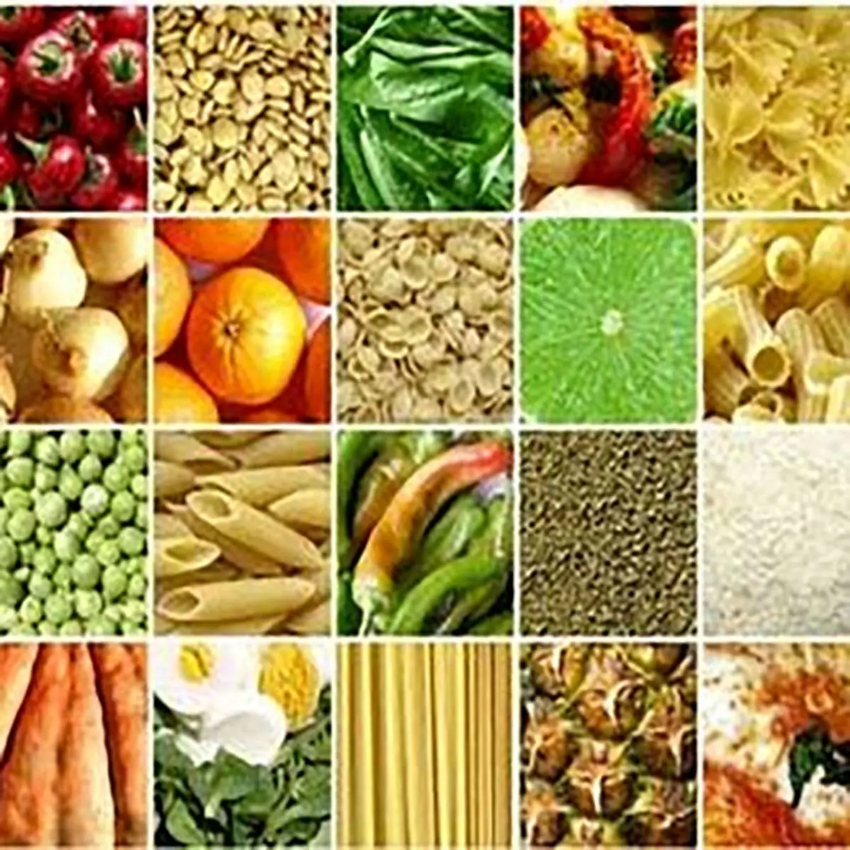 پورابراهیمی:مردم نفعی از یارانه 100 هزار میلیاردی دولت به کالاهای اساسی نبردند