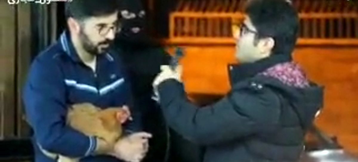 سلطان مرغ اعدام شد!!!