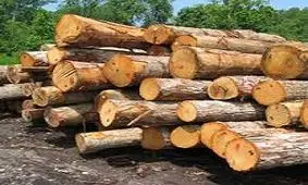 اوج گیری نرخ چوب با افزایش تعرفه گمرکی/۵۰ درصد "ام دی اف" مورد نیاز کشور در داخل تامین می شود