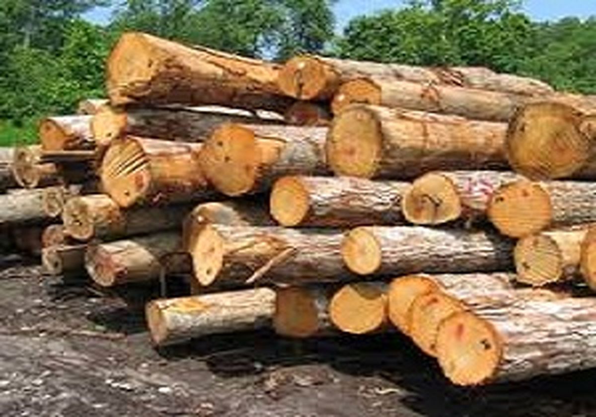 اوج گیری نرخ چوب با افزایش تعرفه گمرکی/۵۰ درصد "ام دی اف" مورد نیاز کشور در داخل تامین می شود