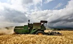 نرخ تضمینی گندم دروم اعلام شد