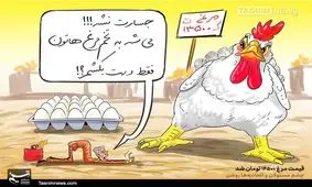 قیمت مرغ ۱۴۵۰۰