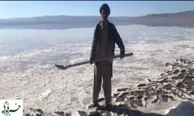 این شغل فقط ۱۰ هزار تومان می ارزد/فیلم